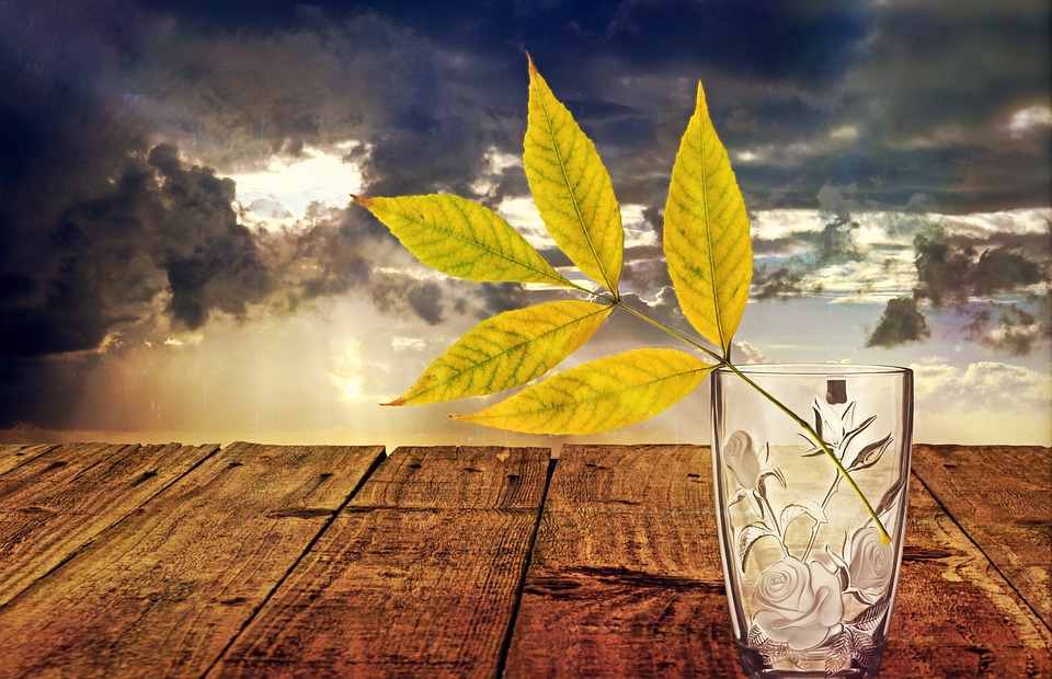 ده قانون شاد و موفق زیستن "۳"